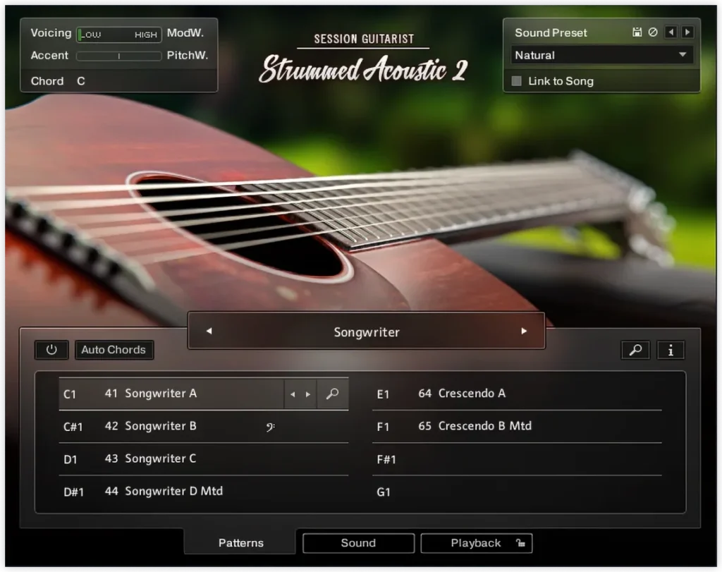 Native Instruments Session Guitarist Strummed Acoustic 2 with its pattern list and sound presets
