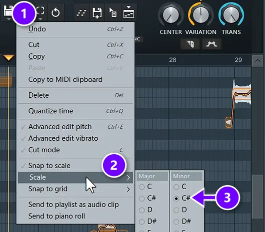 FL Studio Newtone Edit menu numbered 1 with Scale numbered 2 and the C sharp minor key numbered 3