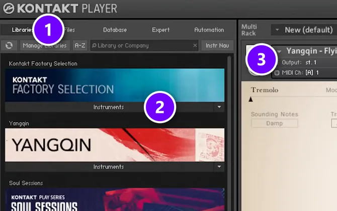 Kontakt Player in FL Studio with the Libraries tab numbered 1, a library's Instruments list numbered 2 and the loaded instrument numbered 3